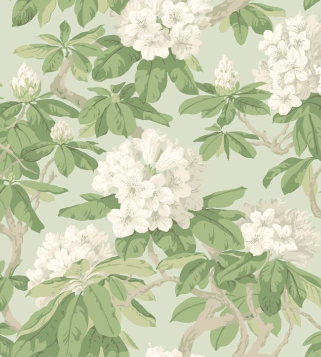 Bourlie Wallpaper By Cole Son In Jane Clayton