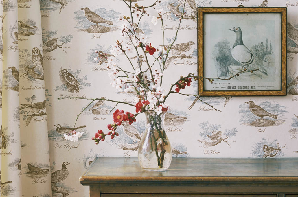 Lewis & Wood Wallpaper | Jane Clayton