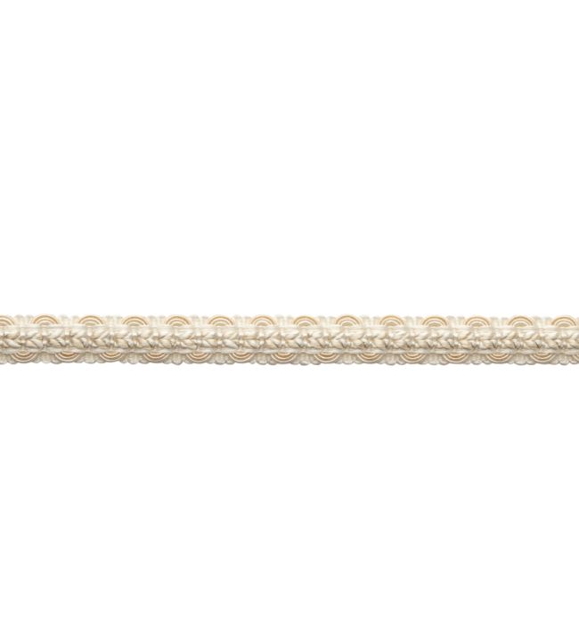 Bagatelle Braided Gimp Trimmings in Gardenia by Samuel & Sons | Jane ...