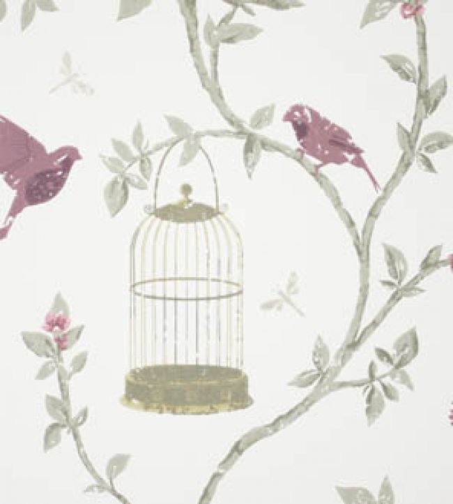 105728 - Graham & Brown, Bird Cage Blush Removable Wallpaper