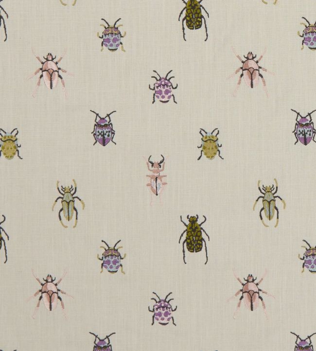 Beetle Fabric by Clarke & Clarke in Multi | Jane Clayton