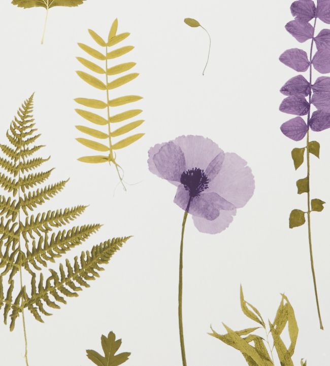 Herbarium Wallpaper - Multi-coloured - By Boråstapeter - 1978