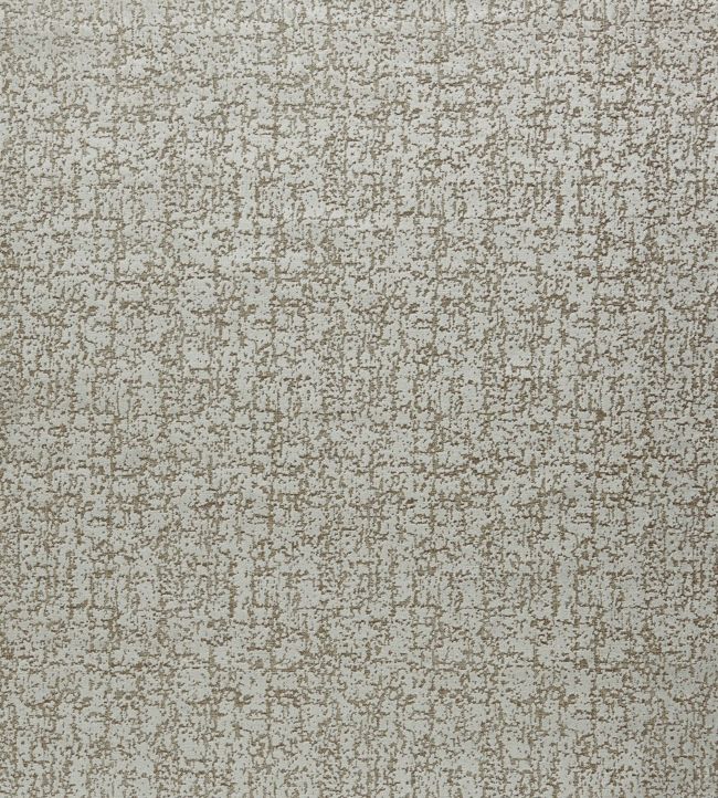 Anguilla Fabric by Clarke & Clarke in Ash | Jane Clayton