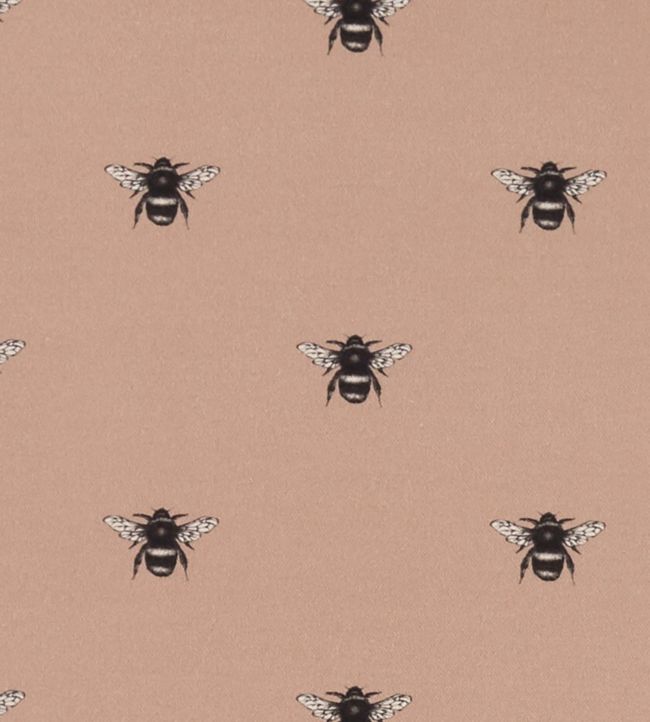 Abeja Fabric by Clarke & Clarke in Blush | Jane Clayton