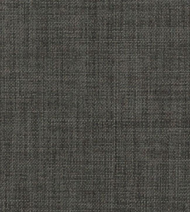 Linoso II Fabric by Clarke & Clarke in Graphite | Jane Clayton