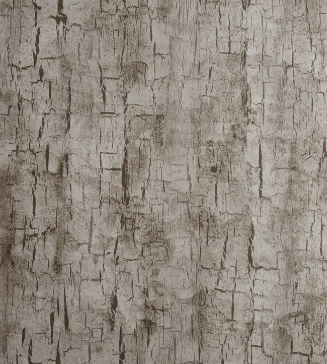 Tree Bark Wallpaper by Clarke & Clarke in Pewter | Jane Clayton