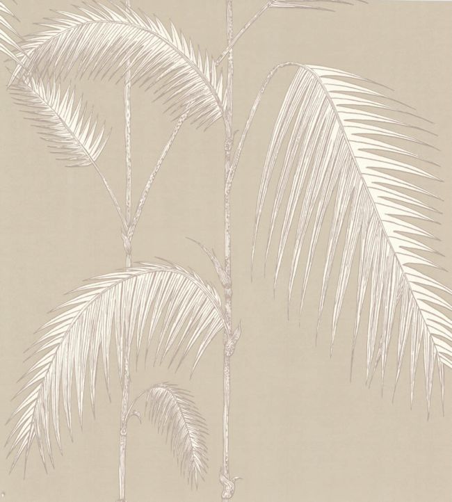 Palm Leaves Wallpaper By Cole And Son In 13 Jane Clayton