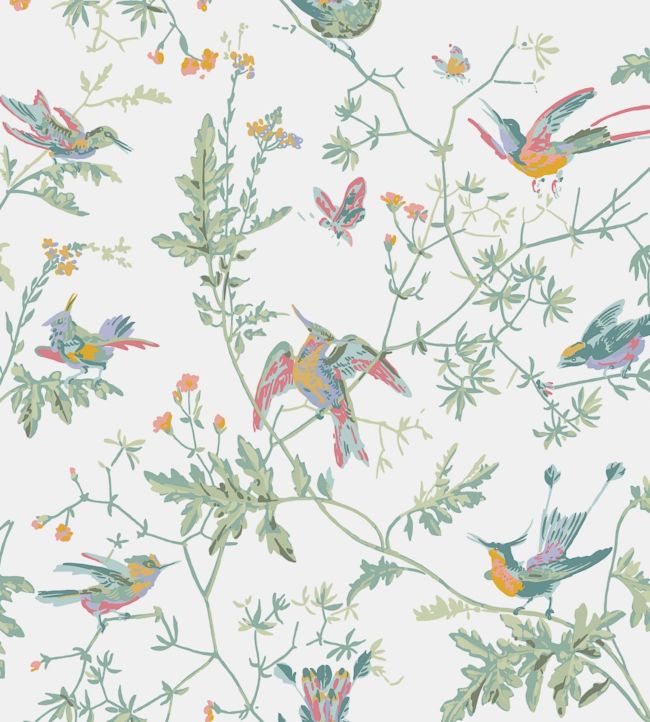 Hummingbirds Wallpaper by Cole & Son in 4016 | Jane Clayton