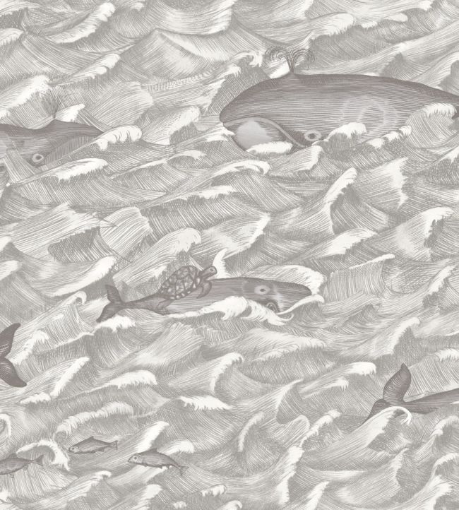 Melville Wallpaper by Cole & Son in Black & White