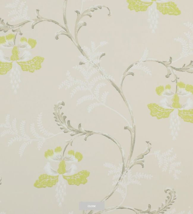 Paper Printed Floral Wallpaper, For Wall Decor at Rs 50/sq ft in Varanasi |  ID: 2853057589712