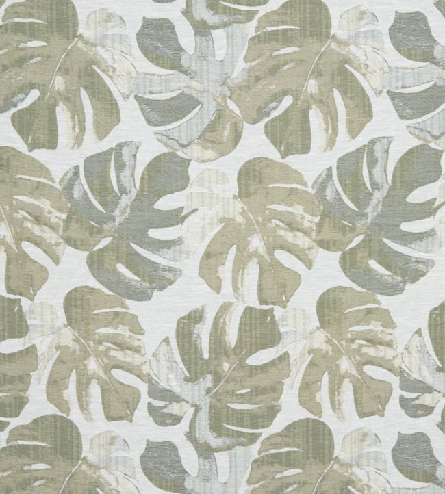 Deliciosa Fabric in Kiwi by Ashley Wilde | Jane Clayton