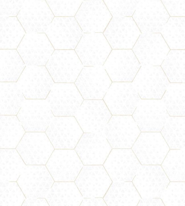 Hexagon Wallpapers ·① WallpaperTag