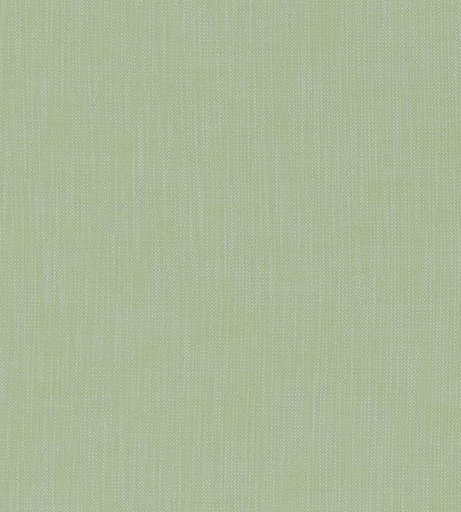 Heaton Fabric in Celadon by Clarke & Clarke | Jane Clayton