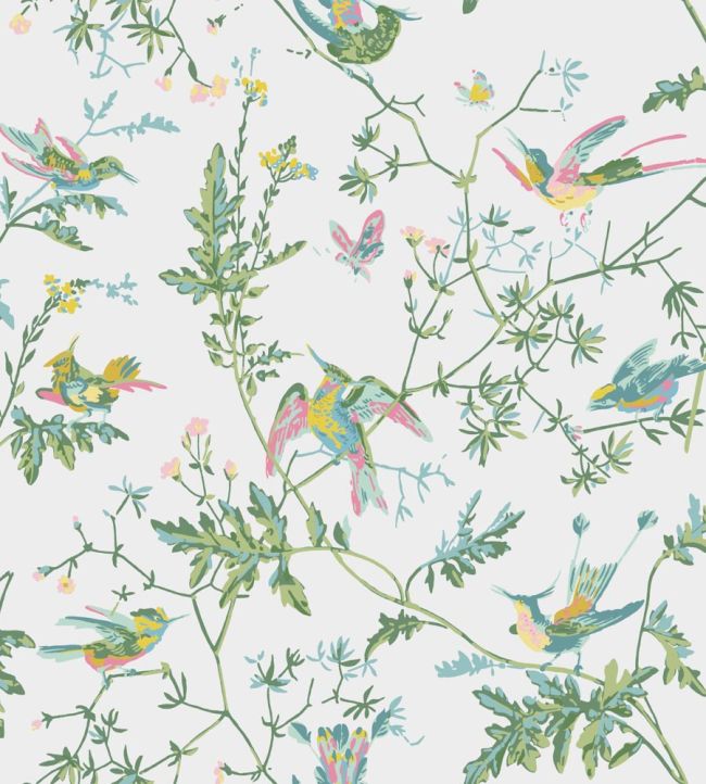 Hummingbirds Wallpaper in Green & Pink by Cole & Son | Jane Clayton