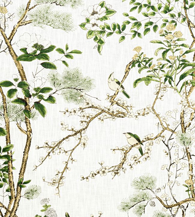 Katsura Fabric in Green and White by Thibaut | Jane Clayton