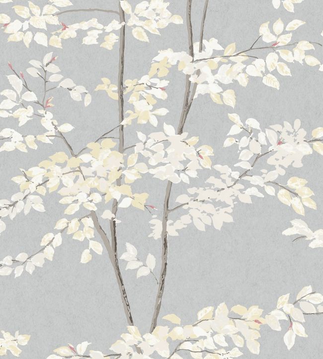 Beech Wallpaper by Lewis & Wood in Dove | Jane Clayton