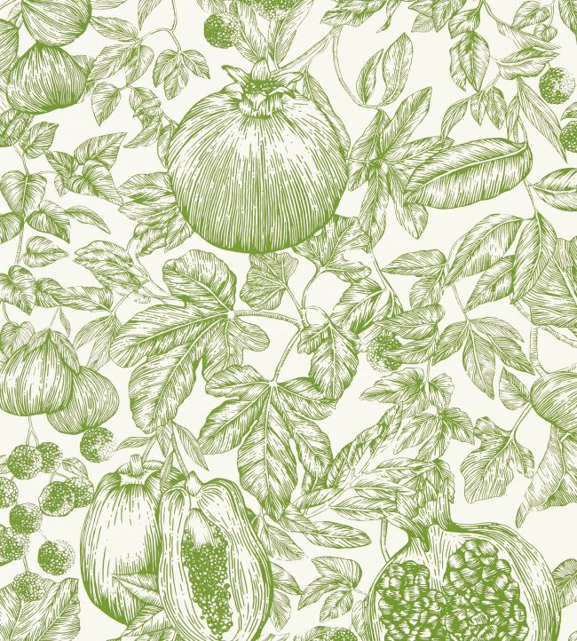 Melograno Wallpaper by Harlequin Forest / First Light