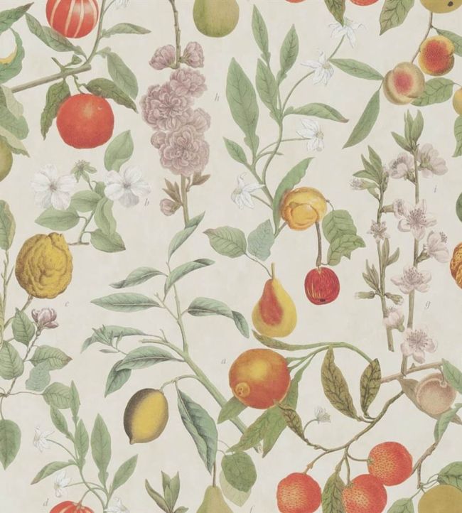 Cole & Son - Frutto Proibito Wallpaper