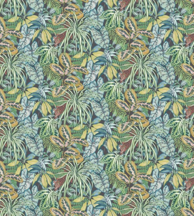 Hot House Fabric by Osborne & Little in 02 | Jane Clayton