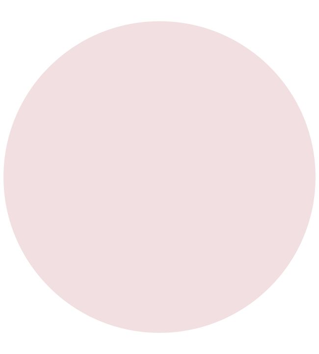 Mylands Palmerston Pink No.243 Paint | Jane Clayton