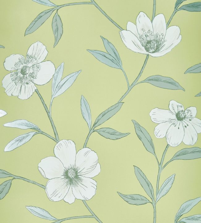 Avery Wallpaper by Prestigious Textiles in Gooseberry | Jane Clayton