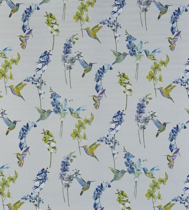 Humming Bird Fabric by Prestigious Textiles in Waterfall | Jane Clayton