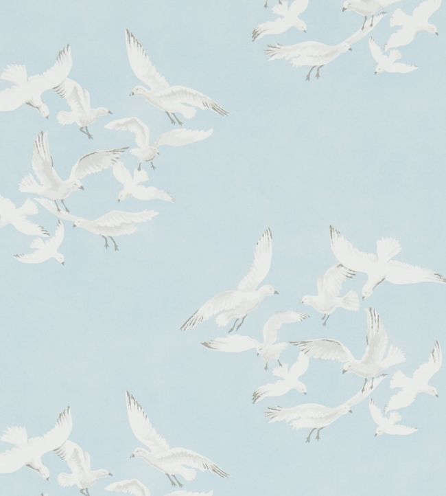 Seagull Wallpaper Download | MobCup