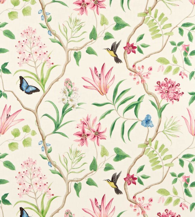 Clementine Fabric by Sanderson in Chintz