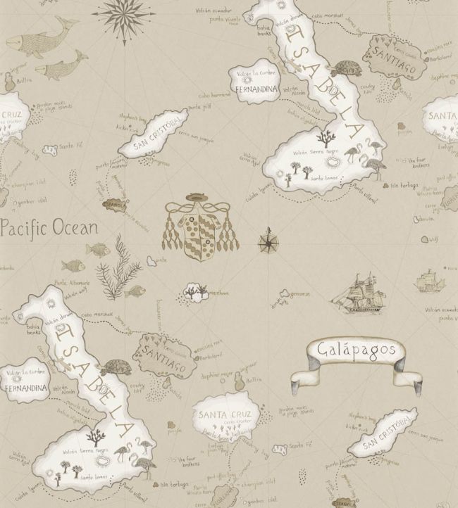 Galapagos Wallpaper by Sanderson in Pewter | Jane Clayton