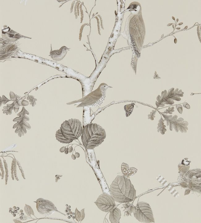 Woodland Chorus Wallpaper by Sanderson in Sepia/Neutral | Jane Clayton