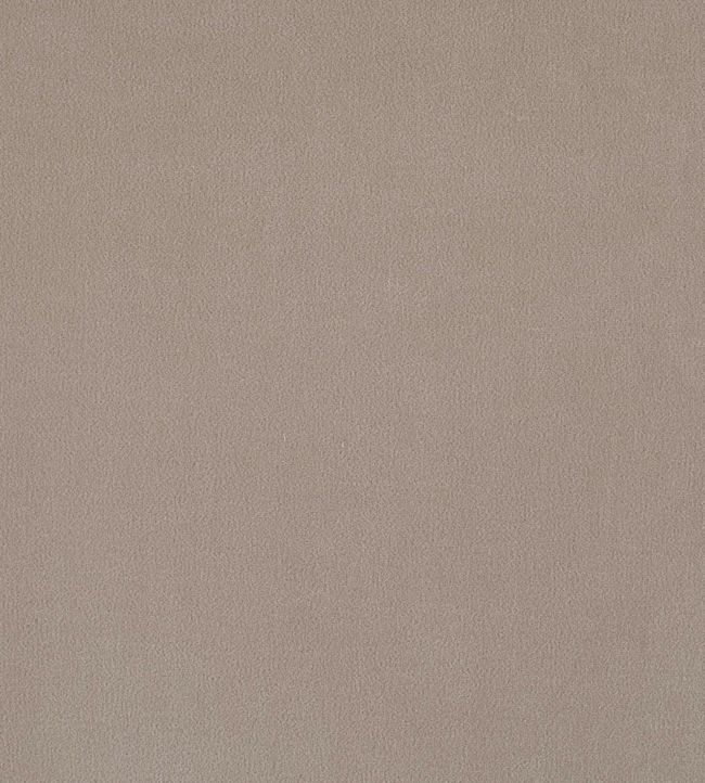 Plush Velvet Fabric by Warwick in Taupe