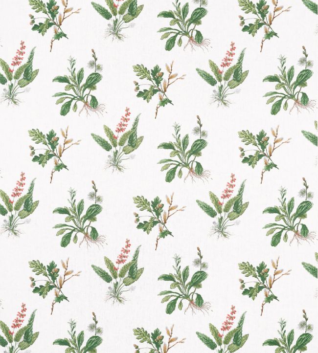 Woodland Fabric by Anna French Green & Blush