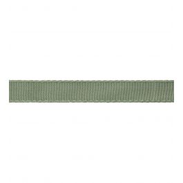 25mm Francoise Border Trimmings in Jade by Samuel & sons | Jane Clayton