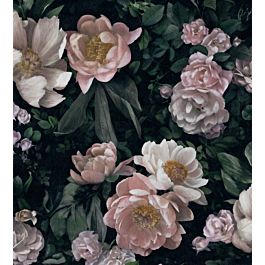 New Dawn Rose Wallpaper by Borastapeter in Black | Jane Clayton