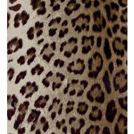 Leopard Fabric in Ash by Arley House | Jane Clayton