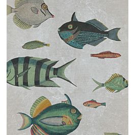 Poissons Wallpaper by MINDTHEGAP in Grey | Jane Clayton