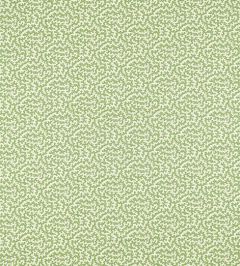 Green Fabric | Dark & Light Green Fabric | Jane Clayton