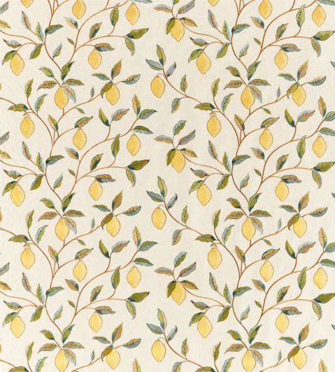 Morris & Co Fabric. | Jane Clayton