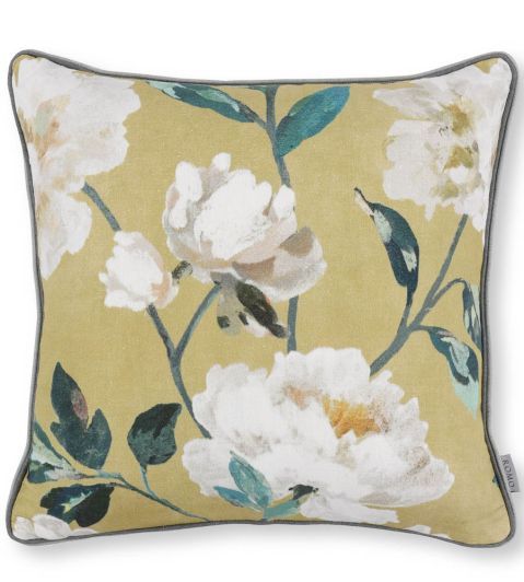 Ready Made Cushions | Designer Cushions | Jane Clayton