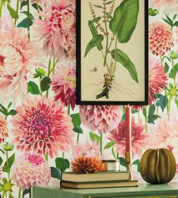 Dahlia Wallpaper by Harlequin Fig Blossom / Nectar / Black Earth