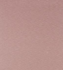 Lineate Fabric by Harlequin in Blush | Jane Clayton