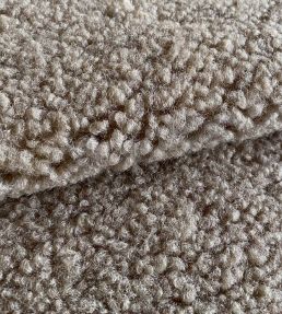 Texel Fabric in Beige by Casal | Jane Clayton