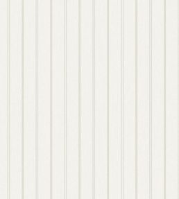 Woodland Stripe Wallpaper by Borastapeter Grey