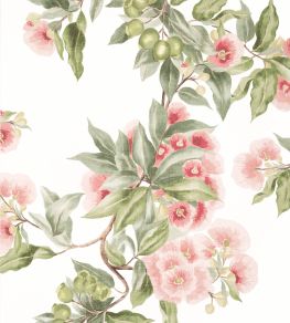 Camellia Garden Wallpaper by Anna French Coral