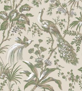 Peacock Toile Wallpaper by Anna French Green on Natural