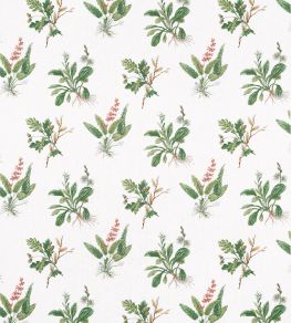Woodland Fabric by Anna French Green & Blush