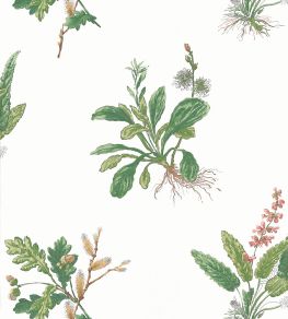 Woodland Wallpaper by Anna French Green & Blush