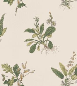 Woodland Wallpaper by Anna French Green on Natural